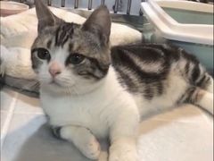 -1013 PET SHOP 宠物商店(近铁城市广场店)