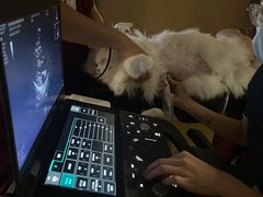 -瑞派康怡24h宠物医院·犬猫医疗中心·微创绝育(瑞景分院)