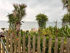 -大梅沙海滨公园