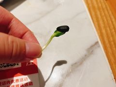 -北华涮肉(华严北里店)