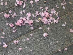 -湊湊火锅·茶憩(南京万象天地店)