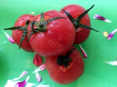 -蔓兰家的四季S0餐厅·融合菜(当代MOMA店)