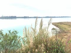 -露天矿生态公园