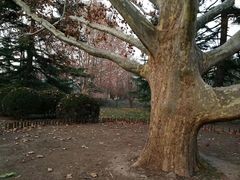 -北京动物园-畅观楼