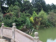 和顺柏联SPA温泉-和顺柏联温泉