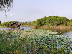 -上海市保健医疗中心