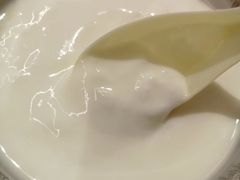 特色酸奶-新疆红柳花餐厅(新洲店)