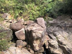 -广州白江湖森林公园