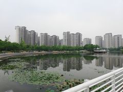 -新江湾城公园