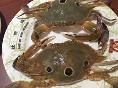 -比亚森自助烤肉料理(裕华店)