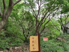 -老象峰