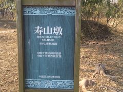 -梁鸿国家湿地公园