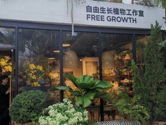 -自由生长植物工作室(深港花卉中心店)