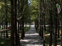 -加顺农场餐厅