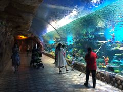 -华夏文旅西安度假区