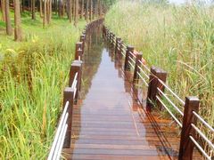 -苏州太湖湖滨国家湿地公园
