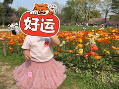 -秀丽东方