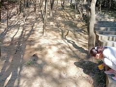 -火炉山森林公园