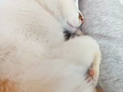 -转山咖啡(松柏社区店)