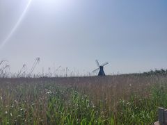 -宁波杭州湾国家湿地公园