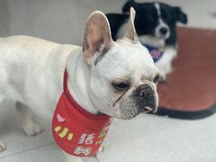 -越南牛肉河粉餐厅(书院巷店)