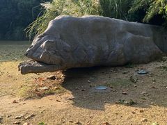 -上海吴淞炮台湾国家湿地公园