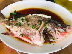 -明记海鲜大排档(巽寮湾店)