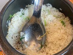 -饭怕鱼(阳光100店)