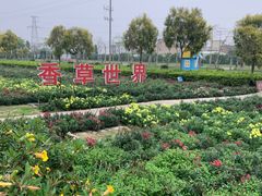 -广东花都香草世界旅游度假区