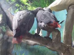 罗源湾海洋世界-福州罗源湾海洋世界旅游区