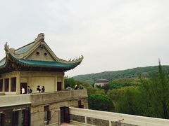 -武汉大学-樱园