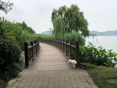-长广溪湿地公园