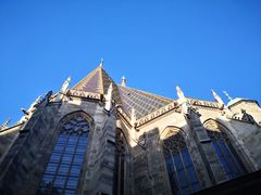 -斯蒂芬主教座堂(Stephansdom)