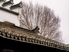 -东梓关景区村庄