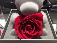 -ROSEONLY诺誓(沈阳万象城店)