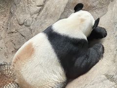 景点-北京动物园