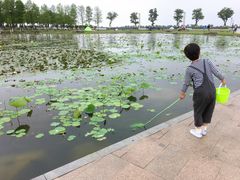 -滆湖低碳生态公园