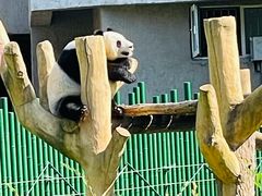 -沈阳森林动物园