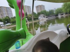 -团结湖公园