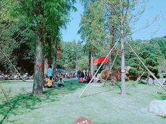 -天花井景区