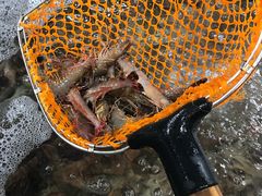 -盒马鲜生(曜一城店)