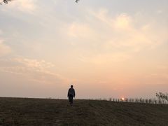 -合肥滨湖国家森林公园