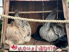 -乐和乐都主题乐园