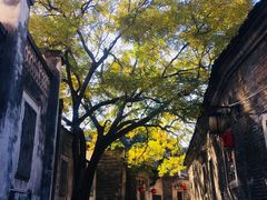 -董府·古宅餐厅