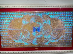 -上海昆虫博物馆