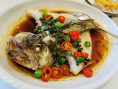 -湛江菜.江南首席(昆山店)