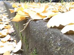 -江南大学(蠡湖校区)