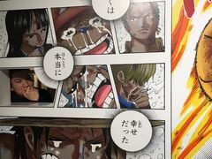 -东京塔海贼王主题公园