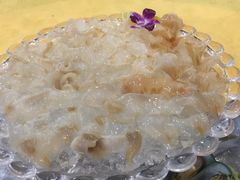 象拔蚌-蚝专家(北滘店)