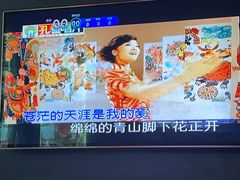 -INLOVE KTV(文一店)